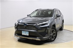 トヨタ　RAV4 ハイブリッドG