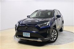 RAV4 G Zパッケージ