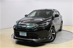 ハリアー プログレス メタル&レザ