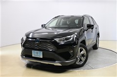 RAV4 ハイブリッドG