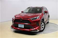 RAV4 X