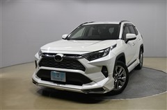 RAV4 G Zパッケージ