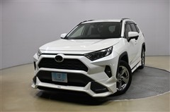 RAV4 X