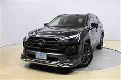 RAV4 HEV アドベンチャー