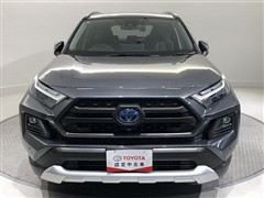 RAV4 HVアドベンチャー 4WD