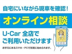 ライズ HV Z