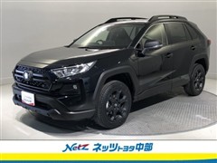 トヨタ RAV4 ADV オフロードpkg2
