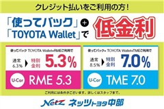 ピクシスメガ L SA3