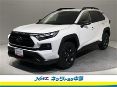RAV4 HV ADVオフロードpk2