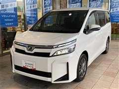ヴォクシー X クルマイススロープ1