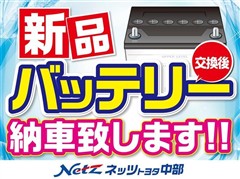 ピクシスメガ L SA2
