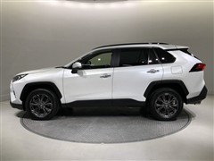 RAV4 G 4WD