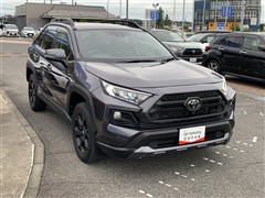 RAV4 ADVオフロードpkg4WD
