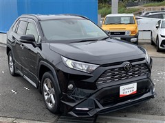 RAV4 G 4WD