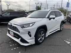 RAV4 G 4WD