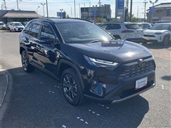 RAV4 HV G 4WD