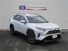 RAV4 G