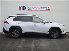 RAV4 G