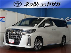 アルファードSタイプゴ-ルド3