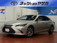 ES300h ヒョウジュンシャ
