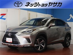 NX300h バージョンL