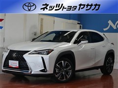 レクサス UX250h バ-ジョン L