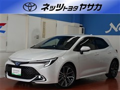 カロ-ラスポ-ツ HV GZ