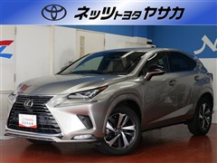 レクサス NX300 スパイス&シック