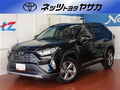 RAV4 G