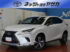 NX300 スパイスシック