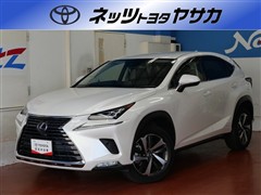 レクサス NX300h Iパッケージ