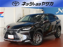 NX300 Iパッケ-ジ