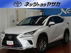 NX300 I パッケ-ジ