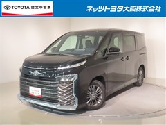 トヨタ ヴォクシー S-G
