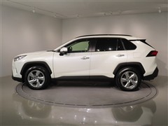 RAV4 G