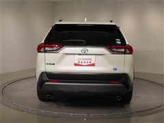 RAV4 G