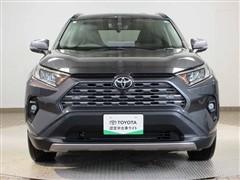 RAV4 G