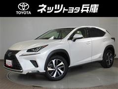 NX300h Iパッケージ