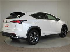 NX300h Iパッケージ