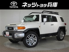 FJクルーザー カラーパッケージ