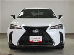 UX HV 250hF スポーツ