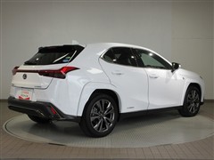 UX HV 250hF スポーツ