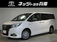 エスクァイアHV GI BKテーラード