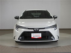 カローラツーリング WxB