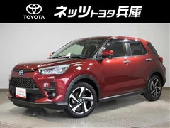 ライズ ハイブリッドZ