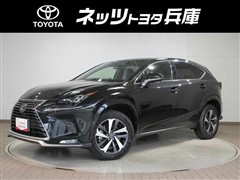 レクサス NX300 Spice&Chic
