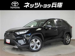 RAV4 G