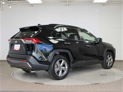 RAV4 G