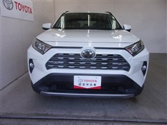 RAV4 G