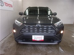 RAV4 G
